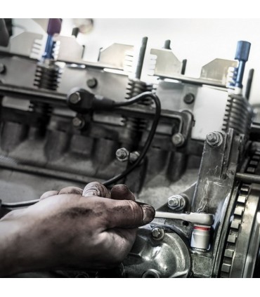 Wera 8790 HMA Zyklop 1/4" Deep Lokma 50x14mm 05004511001