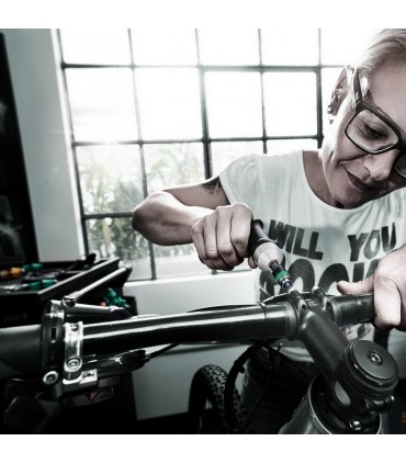 Wera 7442 3,0-6,0Nm Torklu Tornavida 05074702001