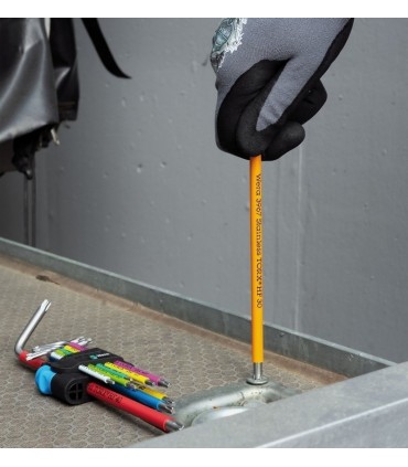 Wera 3967 SXL HF Renkli Allen Anahtar Torx TX25 05022685001