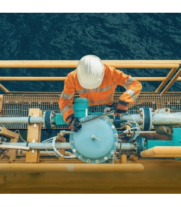 Bahco 7455-60 12-60Nm Ayarlanabilir Tork Anahtarı 3/8" Cırcırlı